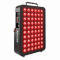 Red Light Panel InfraBeam+